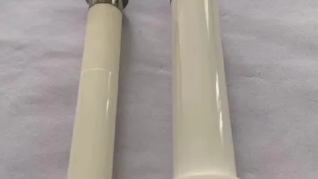 Laboratory Micro Alumina Ceramic Al2O3 Filling Metering Pump with High Wear Resistance 