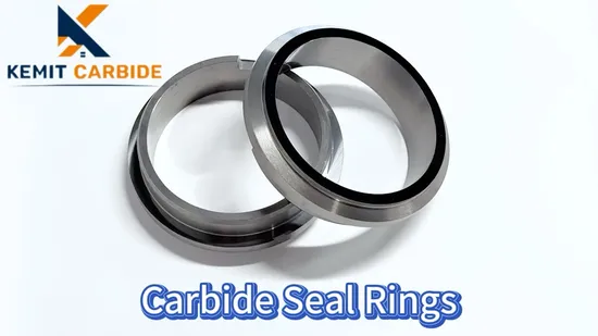Tungsten Carbide Seal Rings with High Precision for Electronics Industry 