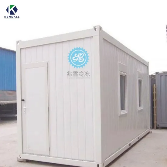 Kendall Container Cold Room Freezer Industrial Blast Freezer Cold Storage Room PU Sandwich Panel Air Cooled Energy Saving Factory Price Fresh Keeping Fruit 