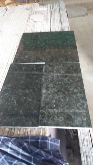 China Top Blue Granite/Blue Volga Granite/Blue Volga Granite for Floor/Background 