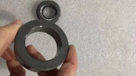 Premium Tungsten Carbide Mechanical Seal Spare Parts for Durability 