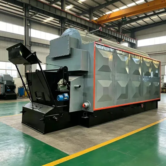 Dzl Chain Grate Biomass Wood Coal Fired Biomass Dual