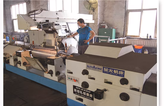 Alloy Iron Casting Crushing Rolls for Mineral Machine
