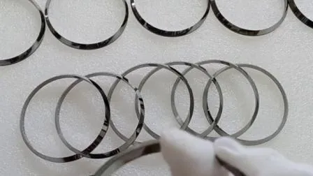 Yg6 Hight Precision Tungsten Carbide Ring for Slurry Seal Ring 