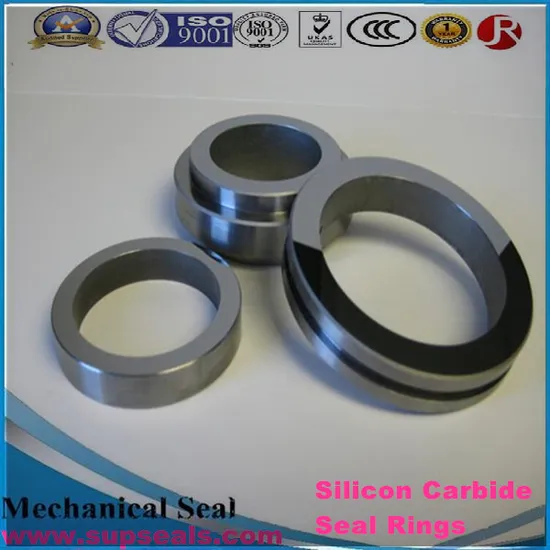 Polished and Precision Silicon Carbide Seal Ring Ssic Rbsic Ring M7n G9 L Da T Type 